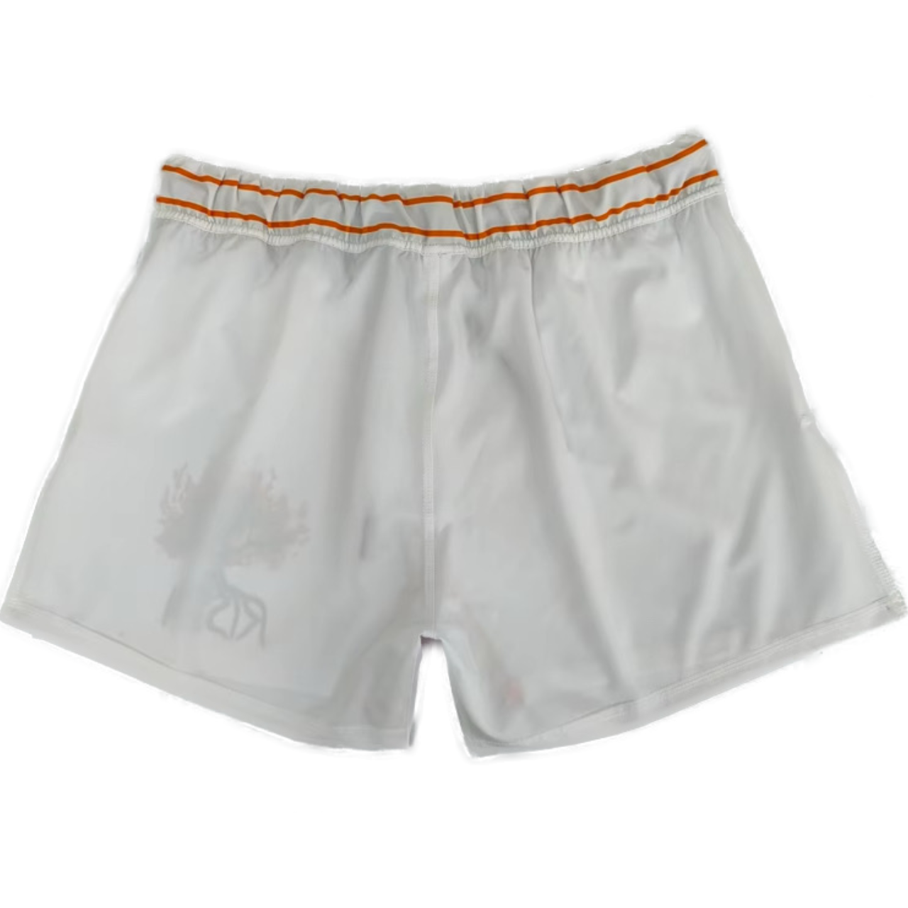 Risen Burning Bush MMA Shorts